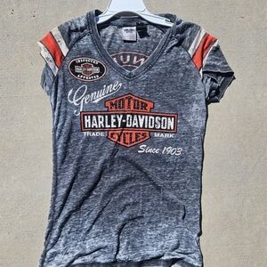 Harley-Davidson Gray Graphic T-Shirt
